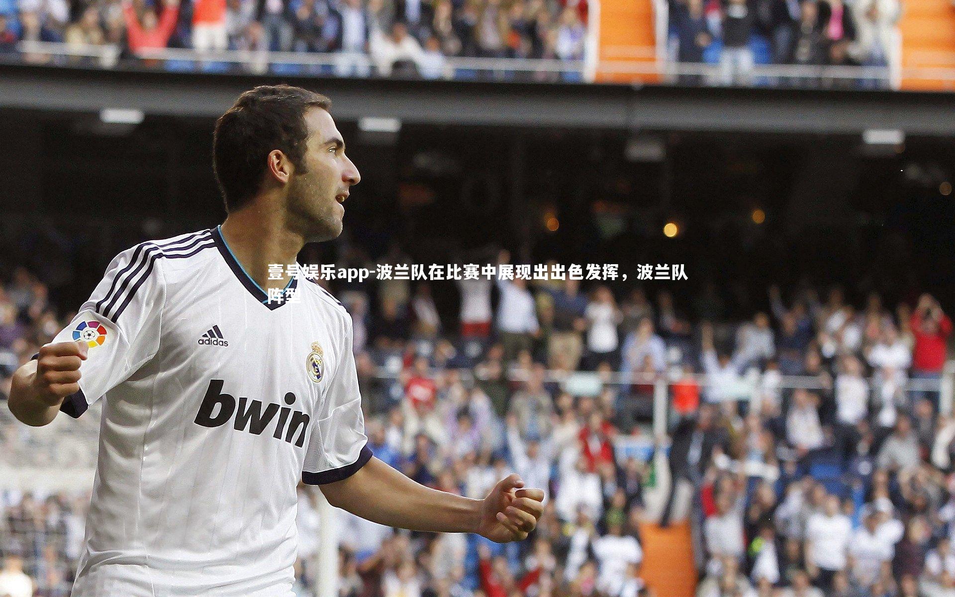 壹号娱乐app-波兰队在比赛中展现出出色发挥，波兰队阵型