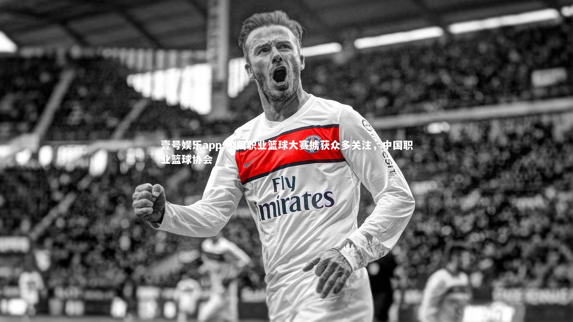中国职业篮球大赛掳获众多关注，中国职业篮球协会