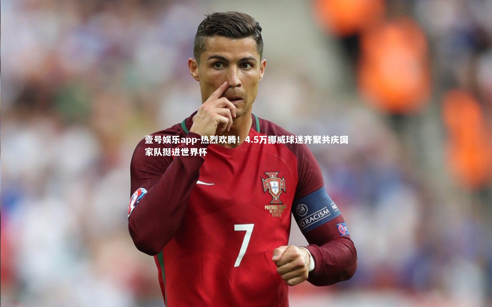 热烈欢腾!4.5万挪威球迷齐聚共庆国家队挺进世界杯